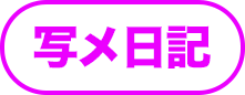 写メ日記